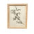 Framed Herbarium Collection of Botanical Specimens From 1897, Set of 12 For Sale - Image 13 of 18