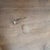 2020s James + James Solid Knotty Alder Farmhouse Dining Table With Turned Legs, Harvest Wheat For Sale - Image 5 of 8