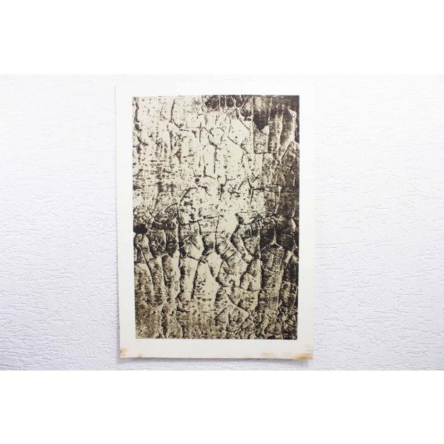 Klaus Littmann, Composition, 1972, Lithograph For Sale - Image 10 of 10