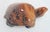 Figurative Vintage Hand-Carved Tigers Eye Miniature Turtle - Symbol of Tranquility and Steadfastness; Said to Teach You to Take Your Time and Enjoy Life For Sale - Image 3 of 18