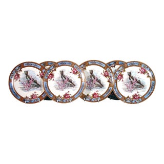 English Pottery Earthenware Set of Six Plates Decorated With Fish For Sale