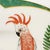 Green 8 Inch Accent Plate Monkey Magic by Lynn Chase Animalier Dinnerware For Sale - Image 8 of 12