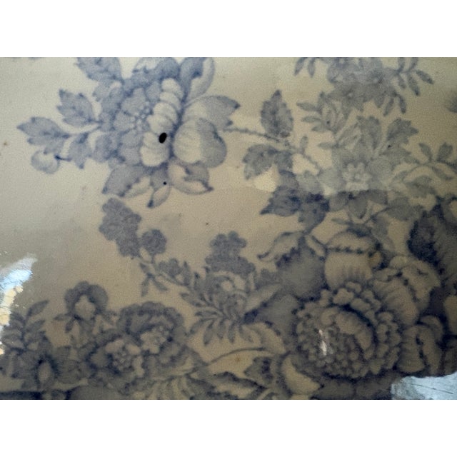 19th Century Asiatic Pheasant Platter For Sale - Image 4 of 17