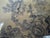 19th Century Asiatic Pheasant Platter For Sale - Image 4 of 17