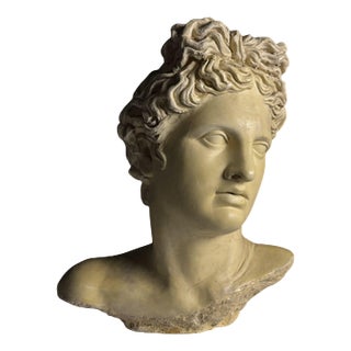 Apollo Bust in Concrete For Sale