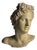 Apollo Bust in Concrete For Sale