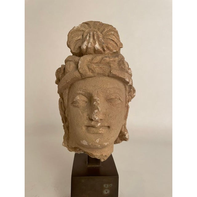 Metal Gandharan Stucco Head of a Bodhisattva, 3rd-5th Century For Sale - Image 7 of 12