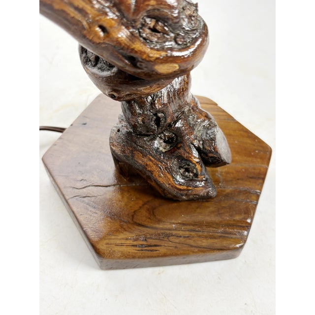 Wood Small Vintage Root Table Lamp, France, 1950 For Sale - Image 7 of 12