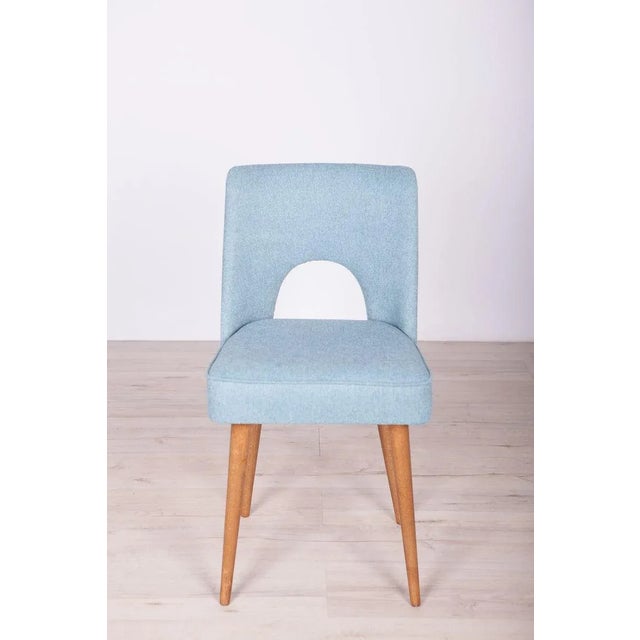 Polish Shell Chairs from Bydgoszcz Furniture Factory, 1960s, Set of 6 For Sale - Image 12 of 17