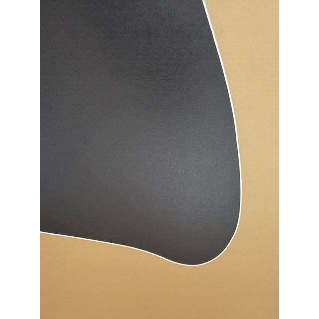 Brown Anne Montiel, Forms, 2013, Printed in Belgium For Sale - Image 8 of 12
