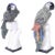 White Carved Stone Parrots - A Pair For Sale - Image 8 of 8