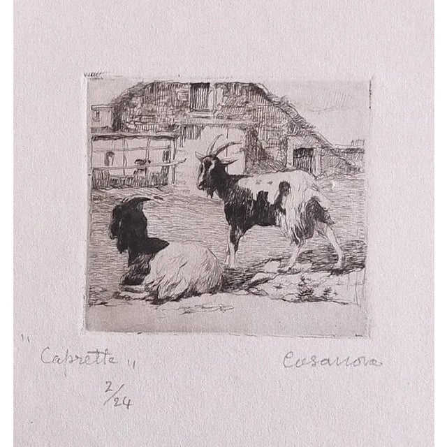 The Goats is an original etching realized by Carlo Casanova. Hand-signed on the lower right. Numbered. Edition 2/24. In...