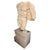 Gold Large Classical Marble Torso of Hercules on Marble Base, 1930 For Sale - Image 8 of 8