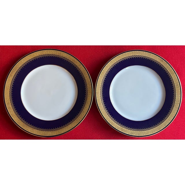 German Cobalt Blue and White Porcelain Dinner Plates With Gold Rims by Hohenberg Ware Hutschenreuther Bavaria - Set of 12 For Sale In New York - Image 6 of 14