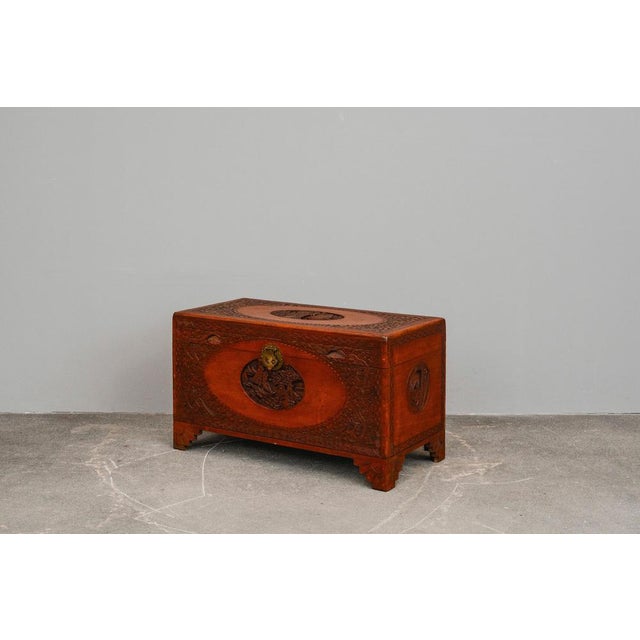 Asian Camphor Chest in Mahogany, Late 20th Century For Sale - Image 5 of 18