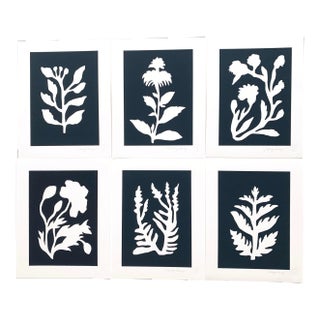 "Sunprints" Botanical Abstractions Fine Art Giclees - Set of 6 For Sale