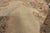 Late 19th Century Persian Kerman Rug, 09'11 X 12'10 For Sale In Dallas - Image 6 of 10