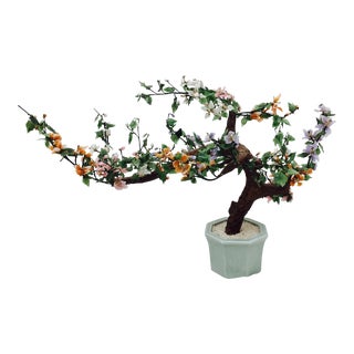 Bonsai Tree Charlottesville Bonsai Tree