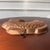 French Country Italian Copper Fish Molds-- A Pair For Sale - Image 3 of 18