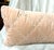 Shabby Chic Bella Notte Long Cotton Velvet Lumber Pillow in Pearl For Sale - Image 3 of 12
