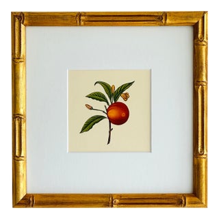 Original Hand-Painted Clementine Painting, Framed For Sale