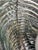 Silver Nautilus Table Lamp from Kare Design, 1980s For Sale - Image 8 of 11