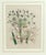 Mid 19th Century Mid 19th Century Jane Wells Loudon Botanical Prints Framed - a Pair For Sale - Image 5 of 12