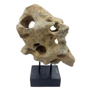 Indonesian Coral Stone On Teak Stand For Sale