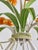Vintage Tole Tulip Chandelier in Orange and Yellow Painted Steel, 1960s For Sale - Image 9 of 18