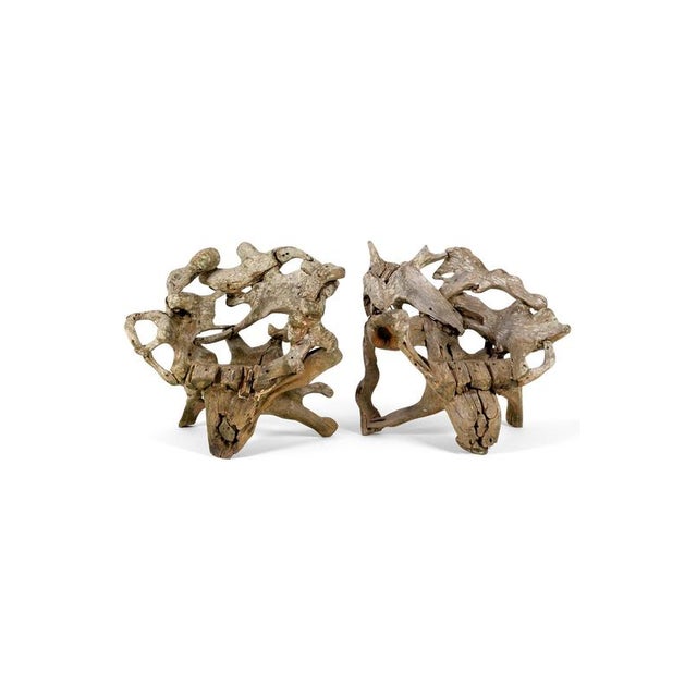 Teak Root Wood Armchairs, Set of 2 For Sale - Image 17 of 17