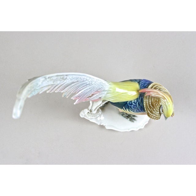 Golden Pheasant Porcelain Figurine by F. Karl Ens, Germany, 1920s For Sale - Image 10 of 18