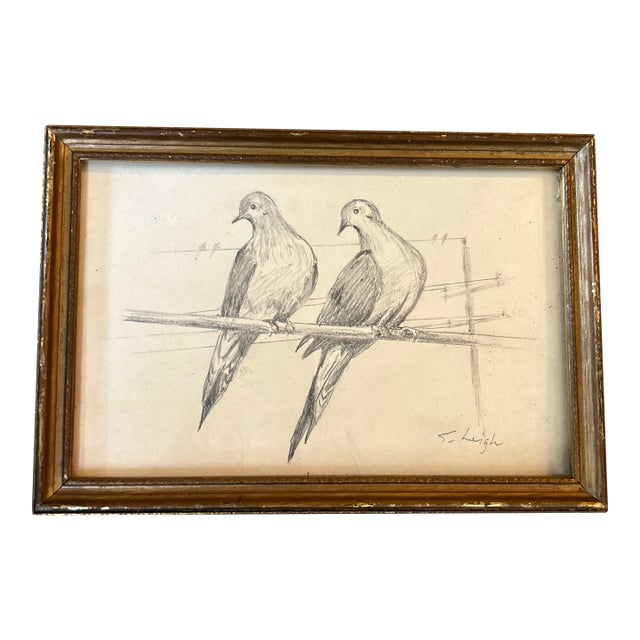 Contemporary Original Dove Pencil Drawing by Stephen Heigh “Dove Love” For Sale