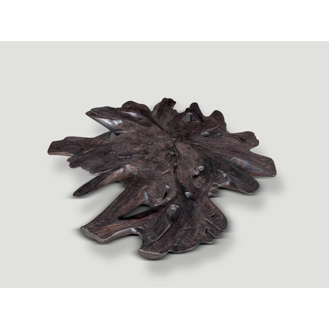 Andrianna Shamaris Impressive Sculptural Teak Wood Root Coffee Table For Sale - Image 4 of 18