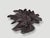 Andrianna Shamaris Impressive Sculptural Teak Wood Root Coffee Table For Sale - Image 4 of 18