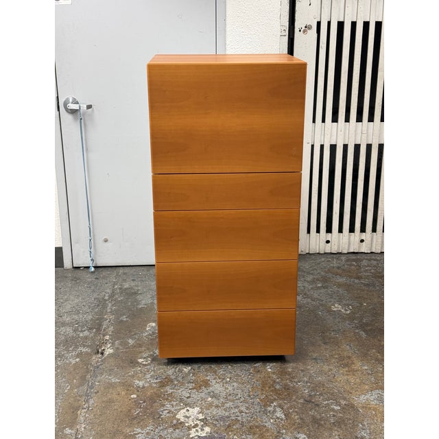 Poliform Abbinabili Tall Secretary Chest of Drawers For Sale - Image 9 of 12