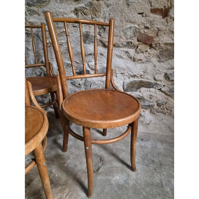 Bentwood Bistro Chairs from Fischel, Former Czechoslovakia, 1930s, Set of 6 For Sale - Image 16 of 18