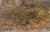 Paint Antique Signed Pastoral Landscape Oil Painting - Signed by J.Lavnu For Sale - Image 7 of 14