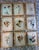 Collection of 15 Antique Herbarium Botanical Specimens in Wood Frames, Bergdorf Goodman Provenance For Sale In Chicago - Image 6 of 9