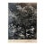 Samuel GottschoVintage Silver Gelatin Signed Photograph Samuel Gottscho Garden Flowers Photo NY For Sale