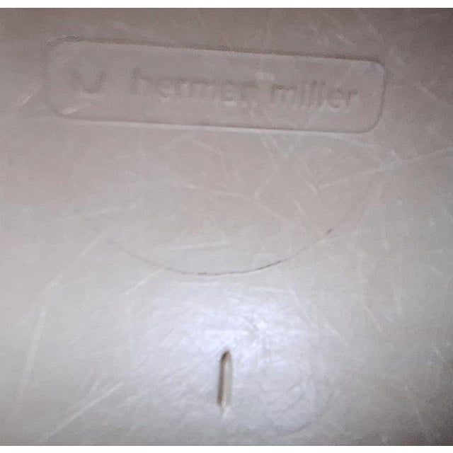 Early DSX Fiberglass Chair by Charles & Ray Eames for Herman Miller, 1950s For Sale - Image 12 of 13