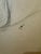 1950s 1950s Henry Emil Salloch Original Watercolor on Paper Seated Female Nude Figure. For Sale - Image 5 of 7