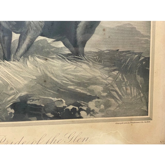 Rare Antique 1894 Wand and Noble Pride of the Glen Moose Elk Engraving Print Art For Sale - Image 10 of 14