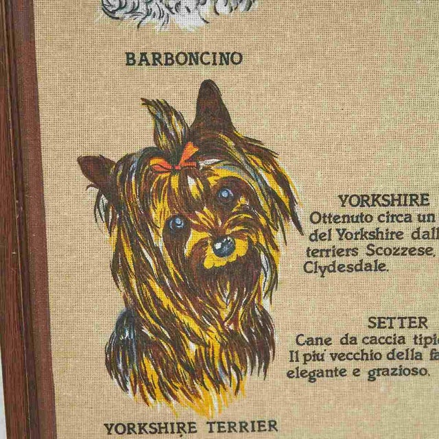 Vintage Dog Breed Print, 20th Century For Sale - Image 3 of 5