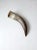 Vintage Polished Horn For Sale - Image 12 of 12