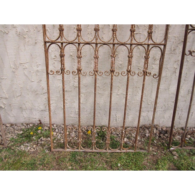 1900 - 1909 Antique Victorian Iron Gate Architectural Salvage Door For Sale - Image 5 of 7