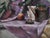 This classic original oil on canvas still life painting done by Elizabeth Ferzacca, while a student at the Pennsylvania...