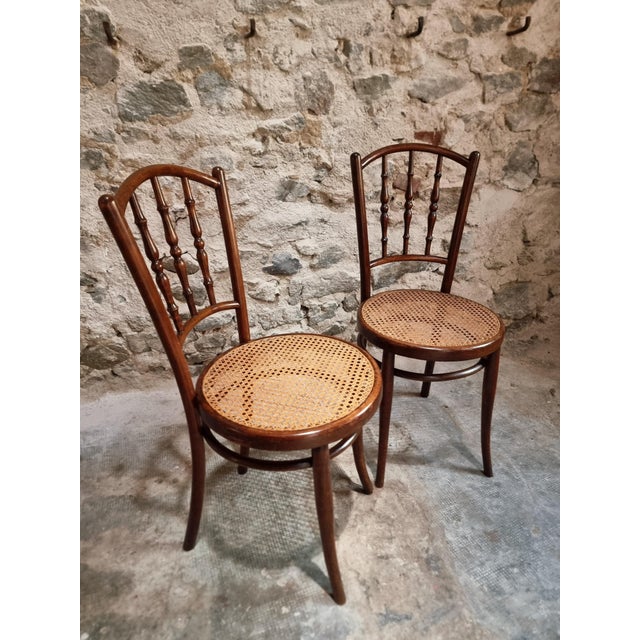 Antique Vienna Bentwood Chairs by Jacob & Josef Kohn, Austria, 1930s, Set of 2 For Sale - Image 14 of 18