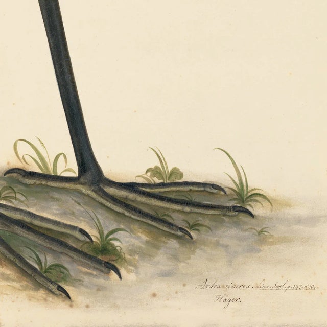 Blue Birds Prints With Roma Moulding - a Pair For Sale - Image 11 of 12