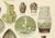 Antique Chromolithographs of Ceramics Through the Ages, 1898, Set of 2 For Sale - Image 4 of 13