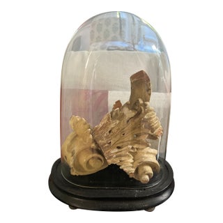 Antique English Glass Oval Dome Cloche With Antique Painted Wood Neoclassical Architectural Fragments For Sale